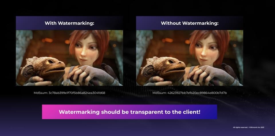 Transparent Video Watermarking Example_Image Comparison