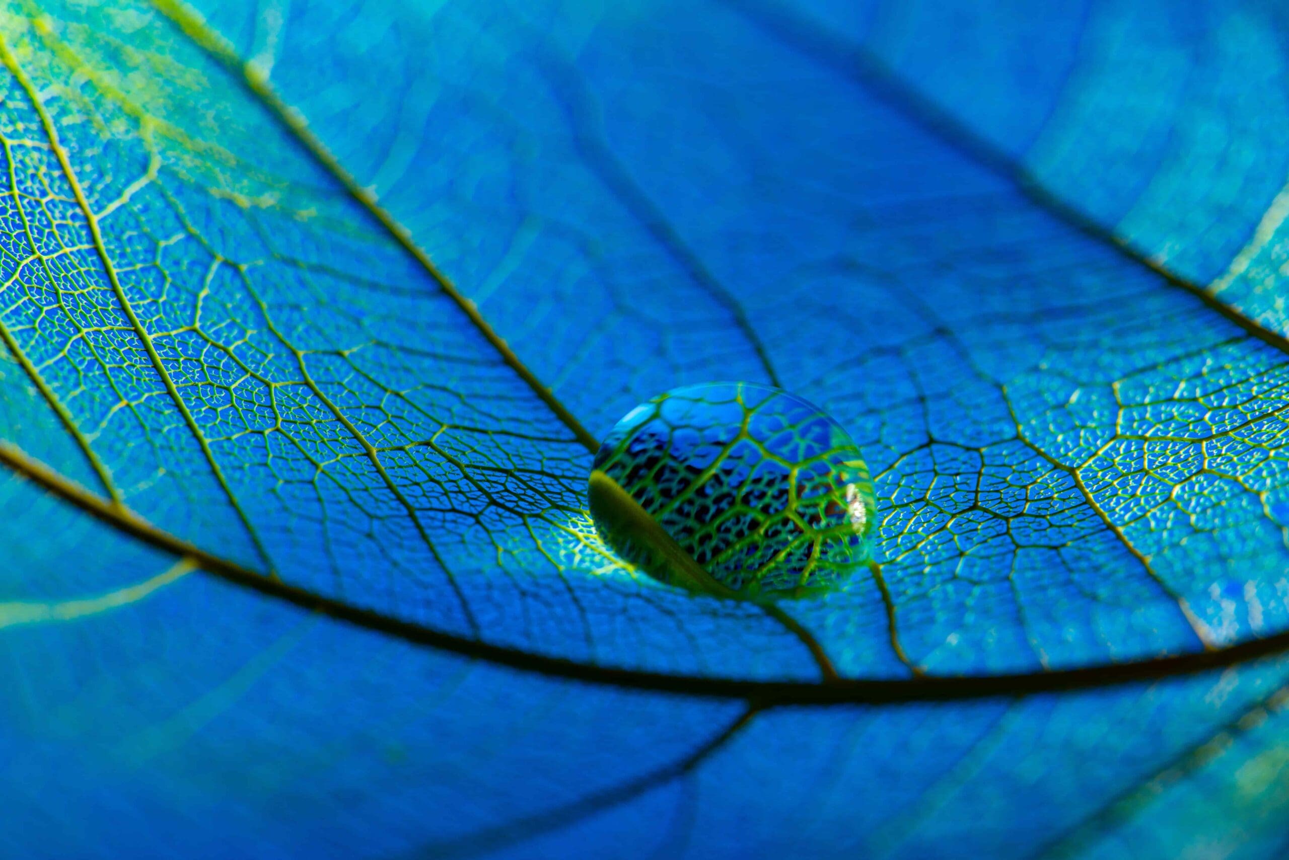 ai_featured-scaled.jpeg ai_featured-scaled.jpeg